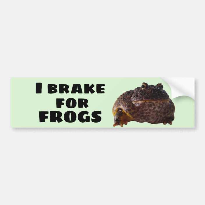 I brake for frogs bumper sticker | Zazzle.com