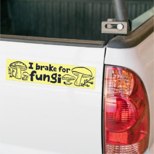I BRAKE FOR FUNGI Cute Mushrooms Foraging Nature Bumper Sticker