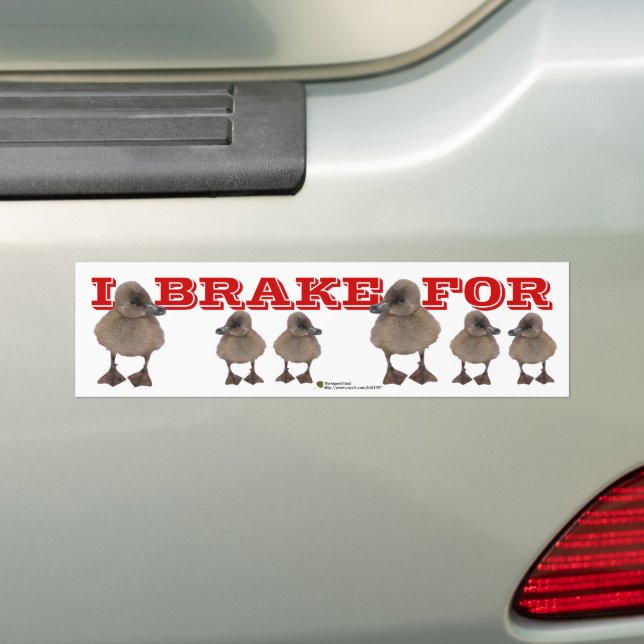 I BRAKE FOR Gray Duckling Photo Personalized Bumper Sticker (On Car)
