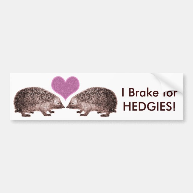 I Brake for HEDGIES! Save Hedgehogs Bumpersticker Bumper Sticker (Front)