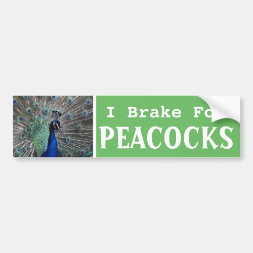 I Brake For PEACOCKS Bumper Sticker