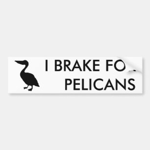 I BRAKE FOR PELICANS Bumper Sticker