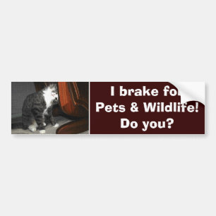 "I BRAKE FOR PETS" Cat Kitten Bumper Sticker