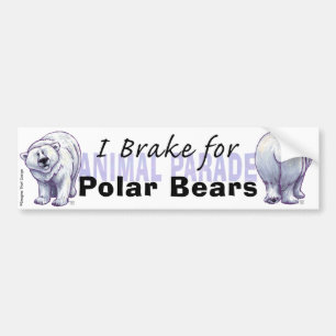 I Brake for Polar Bears Bumper Sticker