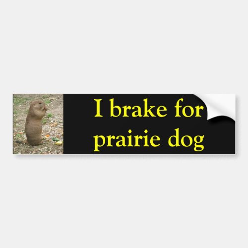 I brake for prairie dog bumper sticker