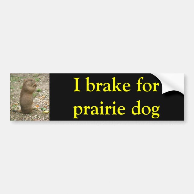 I brake for prairie dog bumper sticker (Front)