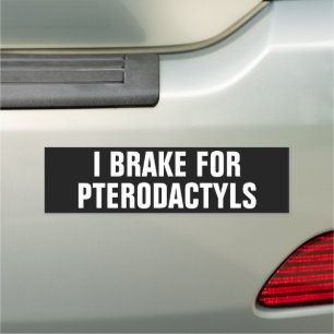 I BRAKE FOR PTERODACTYLS CAR MAGNET