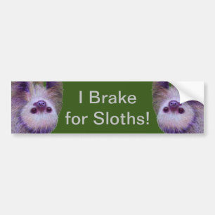 I Brake For Sloths! Bumper Sticker