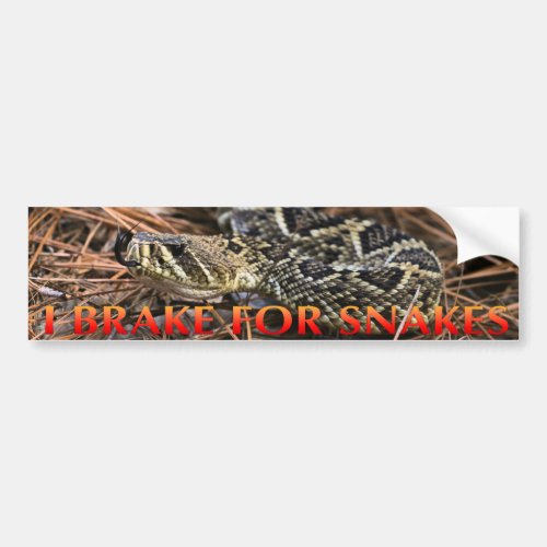 I Brake For Snakes Bumper Sticker