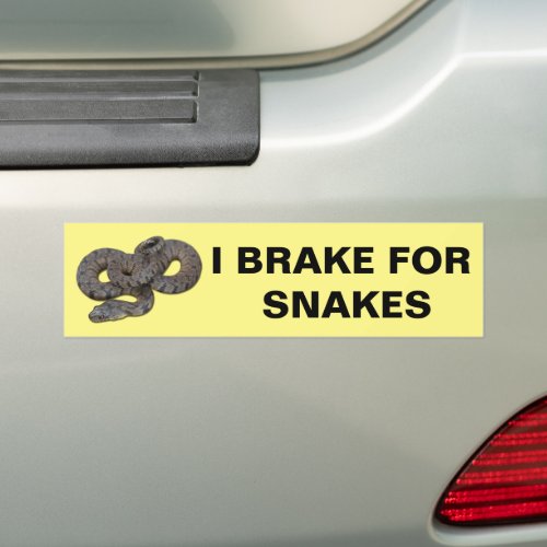 I Brake For Snakes Bumper Sticker