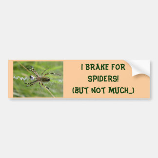 I BRAKE FOR SPIDERS (not much) bumper sticker