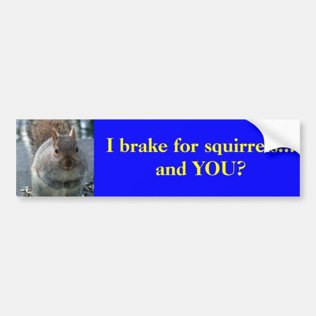 I brake for squirrels...and YOU? Bumper Sticker (Front)