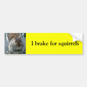 I brake for squirrels bumper sticker