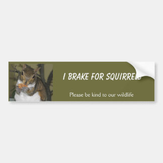 I Brake for Squirrels Bumper Sticker