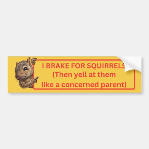 I Brake for Squirrels Bumper Sticker