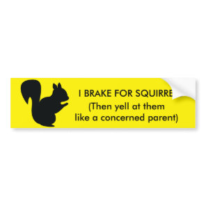 I Brake for Squirrels Bumper Sticker