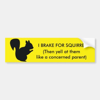 I Brake For Squirrels Bumper Sticker by Tabitha_Ts_Designs at Zazzle