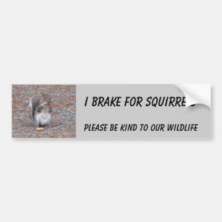 I Brake for Squirrels Bumper Sticker