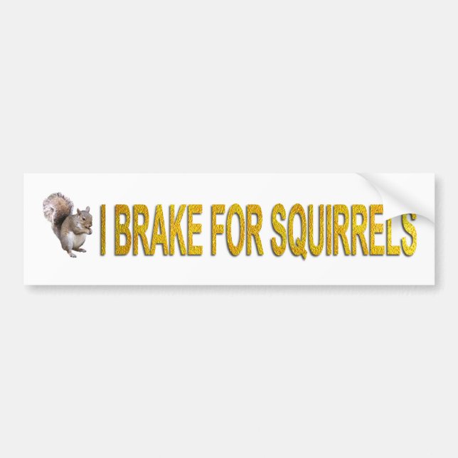 I Brake For Squirrels Bumper Sticker (Front)