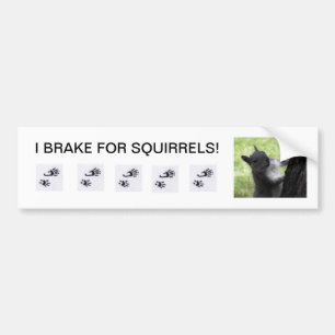 I BRAKE for Squirrels, bumper sticker. Bumper Sticker