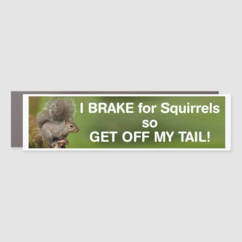 I brake for squirrels car magnet