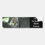 I Brake For Squirrels Cute Bumper Sticker