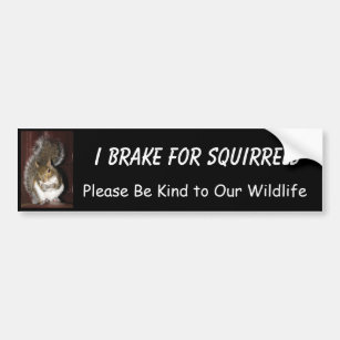 I Brake for Squirrels featuring "Summer" Bumper Sticker