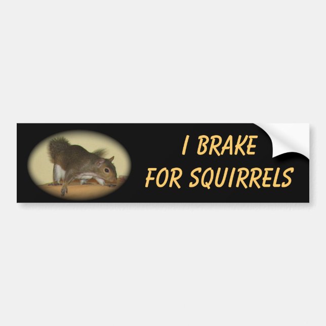 I Brake for Squirrels featuring "Summer" Bumper Sticker (Front)