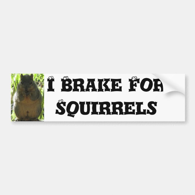 I Brake For Squirrels - Humor Bumper Sticker (Front)