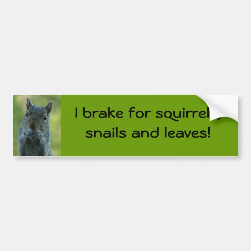 I brake for squirrels snails and leaves bumper sticker