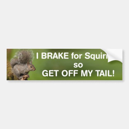 I brake for squirrels so get off my tail bumper sticker