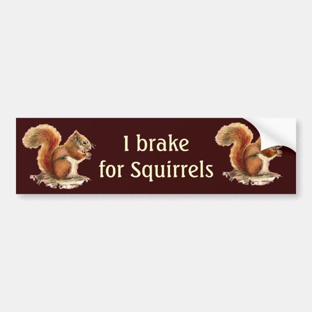 I Brake for Squirrels, Watercolor Animals Bumper Sticker (Front)