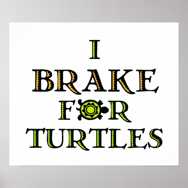 I Brake For Turtles 1 Poster (Front)