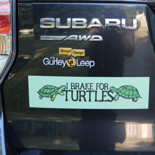 I Brake for Turtles Bumper  Car Magnet