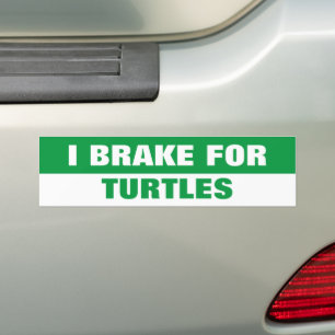 I BRAKE FOR TURTLES BUMPER STICKER