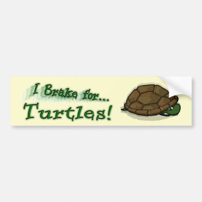 I Brake for Turtles! Bumper Sticker | Zazzle