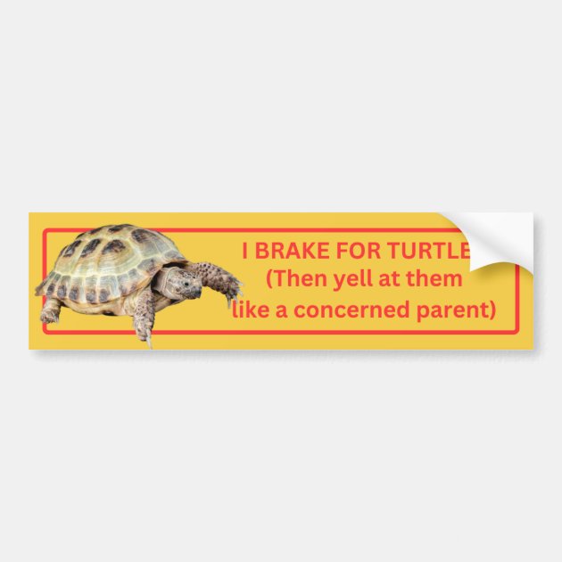 CafePress 'I Brake For Turtles' Bumper Sticker - 10x3 Inch Rectangle Vinyl Decal For Car, Laptop, Window