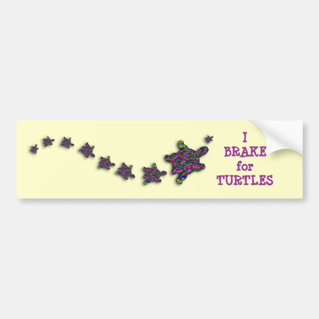 I Brake for Turtles Bumper Sticker (Front)