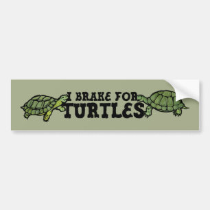 I Brake for Turtles Bumper Sticker