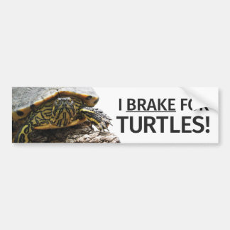 "I Brake for Turtles" Bumper Sticker
