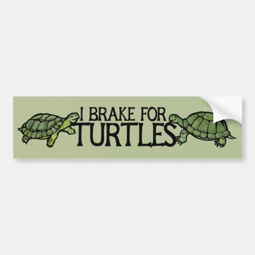 I Brake for Turtles Bumper Sticker