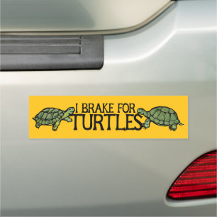 I Brake for Turtles Car Magnet