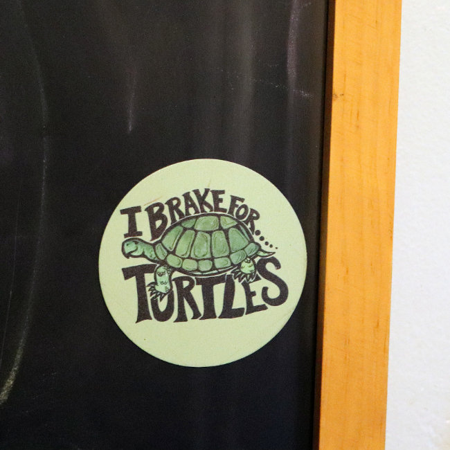 I Brake for Turtles Car Magnet