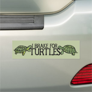 I Brake for Turtles Car Magnet