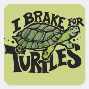 I Brake for Turtles Square Sticker