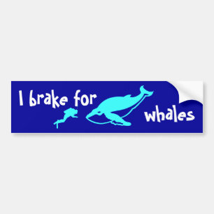 I brake for whales bumper sticker