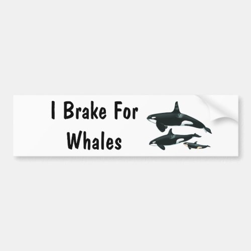 I Brake For Whales Bumper Sticker