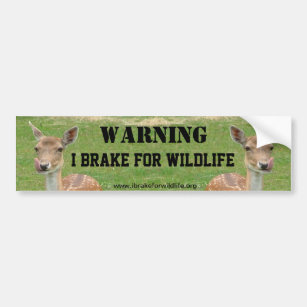 I Brake For Wildlife bumper sticker