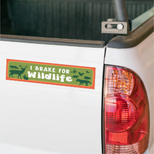I Brake For Wildlife  Bumper Sticker