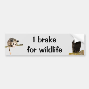 I Brake for Wildlife bumper sticker